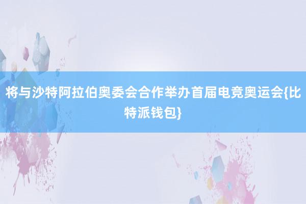 将与沙特阿拉伯奥委会合作举办首届电竞奥运会{比特派钱包}