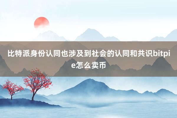 比特派身份认同也涉及到社会的认同和共识bitpie怎么卖币