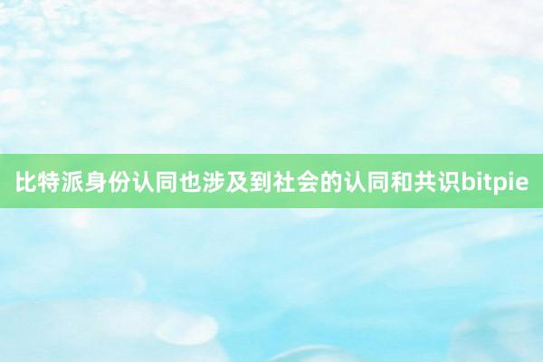 比特派身份认同也涉及到社会的认同和共识bitpie