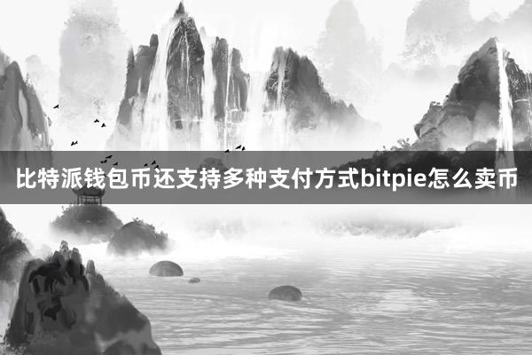 比特派钱包币还支持多种支付方式bitpie怎么卖币