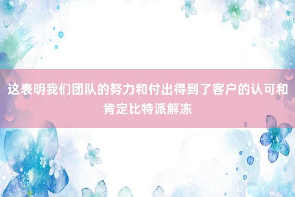 这表明我们团队的努力和付出得到了客户的认可和肯定比特派解冻