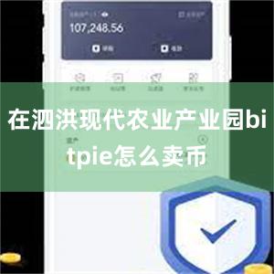 在泗洪现代农业产业园bitpie怎么卖币