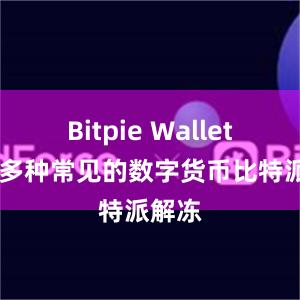 Bitpie Wallet 支持多种常见的数字货币比特派解冻