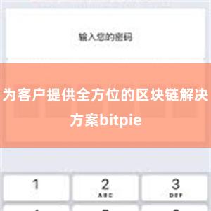 为客户提供全方位的区块链解决方案bitpie